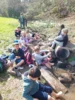Foto vom Album: Waldtag 2a