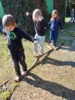Foto vom Album: Waldtag 2a