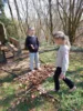 Foto vom Album: Waldtag 2a