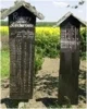 Foto vom Album: Bilder