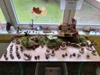 Foto vom Album: Herbstfest
