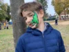 Foto vom Album: Herbstfest