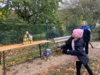 Foto vom Album: Herbstfest