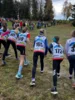 Foto vom Album: Herbstcross Knüllfeld STH