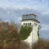 Foto vom Album: Einheitsbuddeln