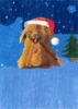 Foto vom Album: Gewinner - Weihnachtsmalwettbewerb 2025