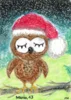 Foto vom Album: Gewinner - Weihnachtsmalwettbewerb 2025
