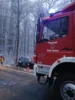 Foto vom Album: VU Wald Merkenfritz und Wenings