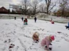 Foto vom Album: Der erste Schnee in diesem Winter