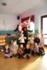 Foto vom Album: Weihnachtstheater