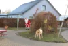 Foto vom Album: Weihnachtsmann und Winterwanderung