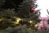 Fotoalbum: Weihnachtsmarkt 2025
