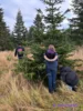 Foto vom Album: Weihnachten 2026 an der Fontane-Oberschule
