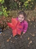 Foto vom Album: Herbstspaziergang