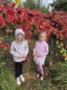 Foto vom Album: Herbstspaziergang