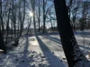 Sonne auf dem gefrorenen See
