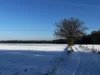 Weg zum Pusch