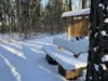 Foto vom Album: Winter 2026