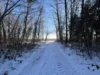 Foto vom Album: Winter 2026