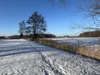 Blick zum Park