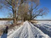 Weg zum Pusch