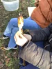 Foto vom Album: Lagerfeuer, Stockbrot und die Regeln