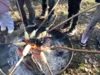 Foto vom Album: Lagerfeuer, Stockbrot und die Regeln