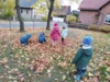 Foto vom Album: Rückblick November/Dezember Große Füchse 2025