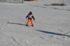 Foto vom Album: Skikurs 2026