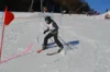 Foto vom Album: Skikurs 2026