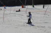 Foto vom Album: Skikurs 2026
