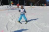 Foto vom Album: Skikurs 2026