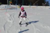 Foto vom Album: Skikurs 2026