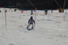 Foto vom Album: Skikurs 2026