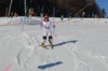 Foto vom Album: Skikurs 2026
