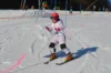 Foto vom Album: Skikurs 2026