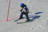 Foto vom Album: Skikurs 2026
