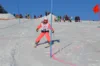 Foto vom Album: Skikurs 2026