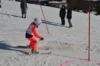 Foto vom Album: Skikurs 2026