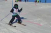 Foto vom Album: Skikurs 2026