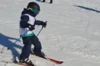 Foto vom Album: Skikurs 2026