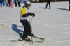 Foto vom Album: Skikurs 2026