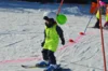 Foto vom Album: Skikurs 2026