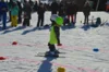 Foto vom Album: Skikurs 2026