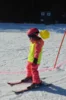 Foto vom Album: Skikurs 2026