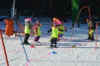 Foto vom Album: Skikurs 2026