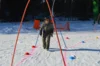 Foto vom Album: Skikurs 2026