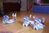Foto vom Album: Karneval am Abend