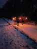 Foto vom Album: Fackelwanderung