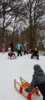 Foto vom Album: Winterferien 2026